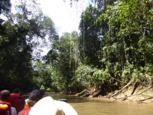 sur la rivière Cuyabeno