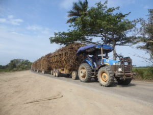 tracteur plus 6 remorques pour le transport de canne à sucre